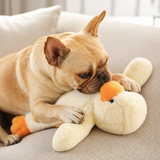 Petly™ Plush Pals | Squeaky Chew Toys for Dogs